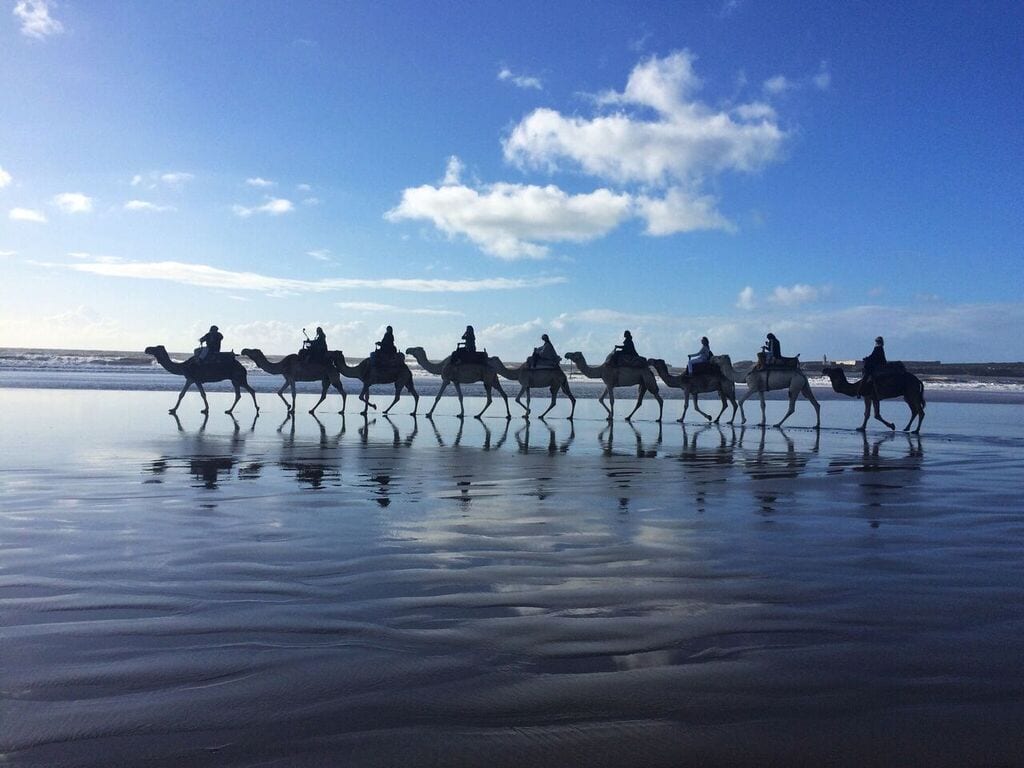 yoga retreat Marrakech September 