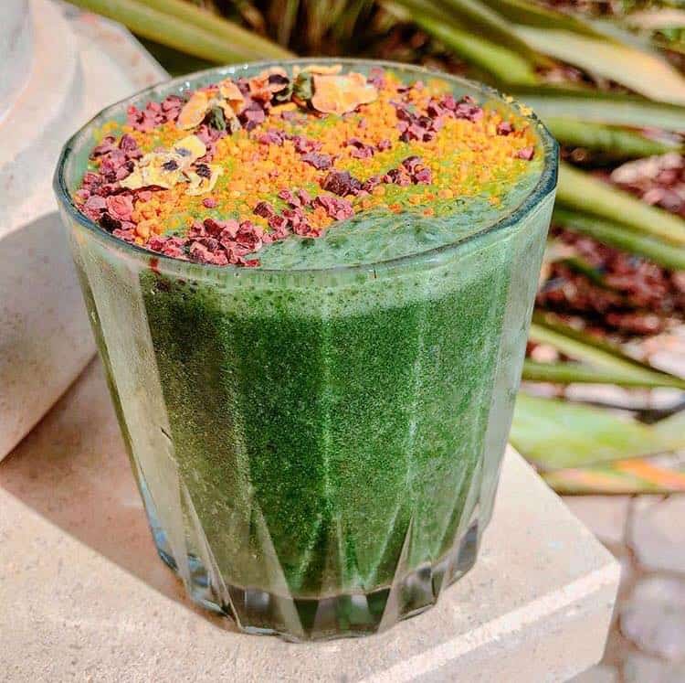 raw food summer yoga retreat