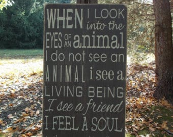 animal soul