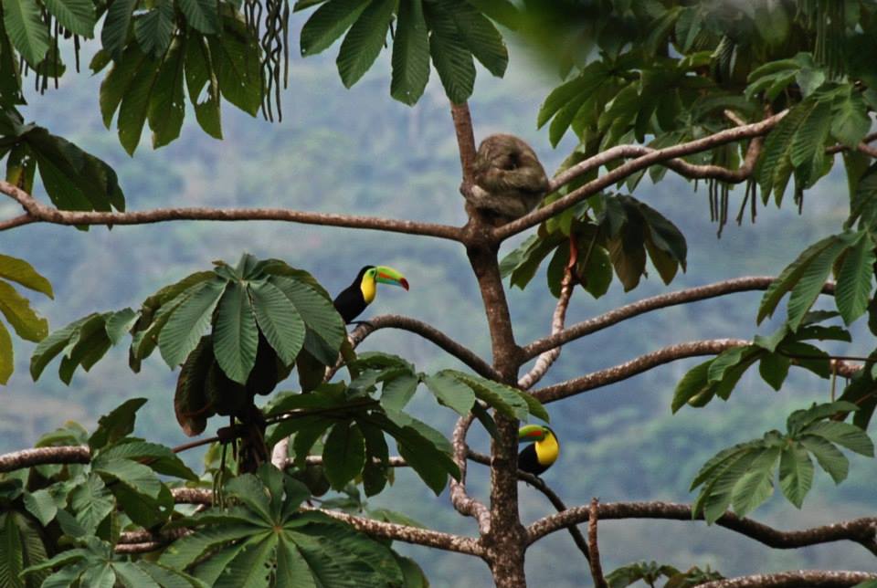 Costa Rica retreats
